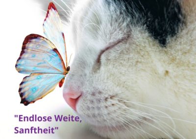 „Endlose Weite und Sanftheit“ | Ellen