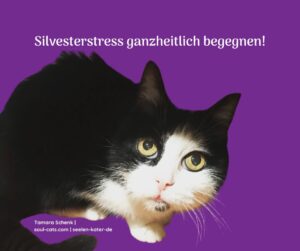 Silvesterstress | Seelenkater | Tamara Schenk